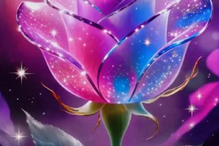 十二星座守护花以及专属黑暗之花