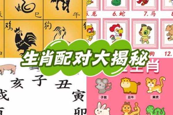配对要谨慎的生肖组合
