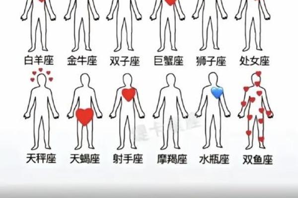 与双鱼女最配的星座 与双鱼男最配的星座