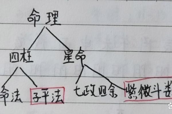 八字有子