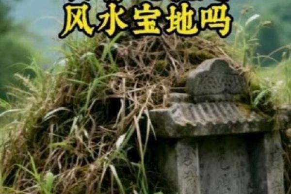 墓地本身会出现的15种风水问题