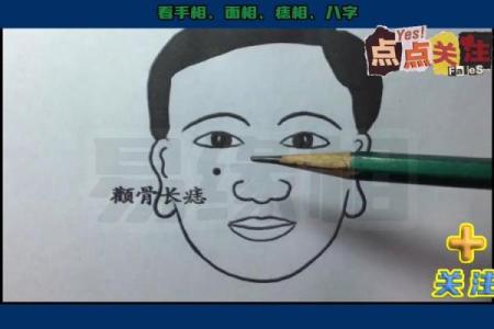 颧骨面相 颧骨面相算命图解