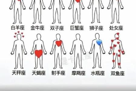 与双鱼女最配的星座 与双鱼男最配的星座