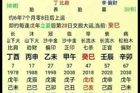 八字测试免费算命