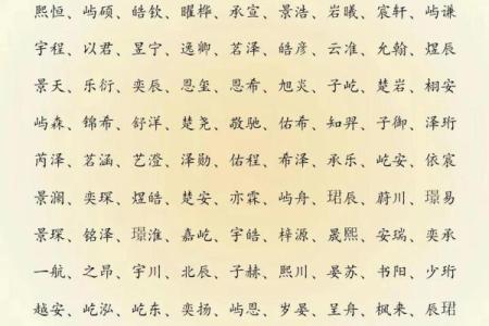 2019年4月20号寅时出生的男孩要怎么起名字姓名