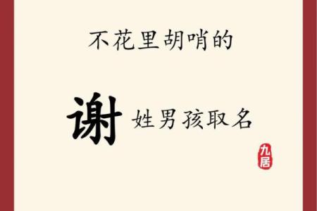 2019年4月20号卯时出生的男孩起名时要注意什么姓名
