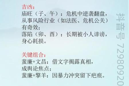 紫微斗数之交友宫与诸星，贪狼星在交友宫是什么意思？