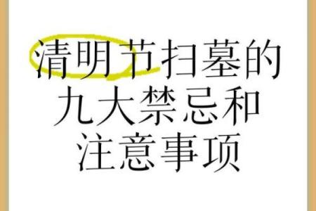 扫墓风水禁忌清明节有什么风俗 传统