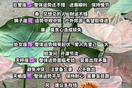 十二星座12月12日运势