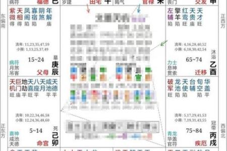 紫薇斗数里忌代表什么
