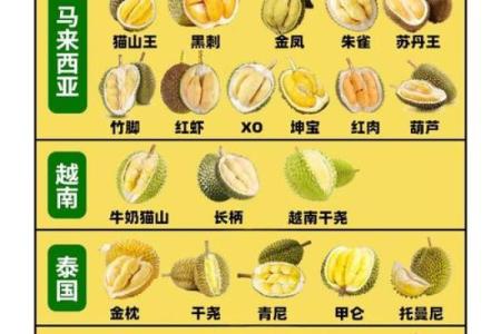12星座喜欢吃榴莲吗