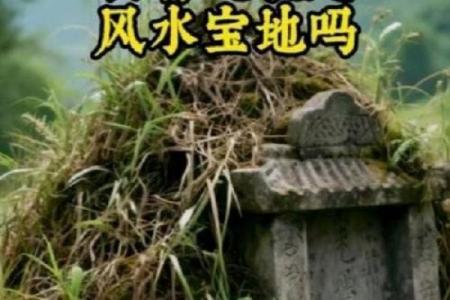 墓地本身会出现的15种风水问题