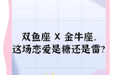 当金牛女遇上十二星座男，会擦出怎样的火花？