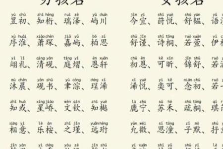 2019年5月6号卯时出生的男孩起名方法姓名