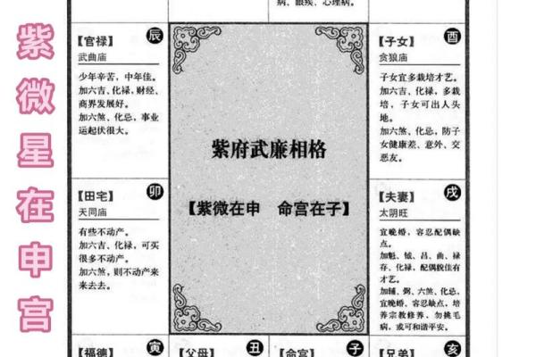 紫薇斗数几个星