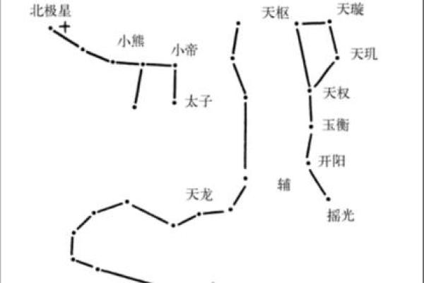 紫薇斗数术数