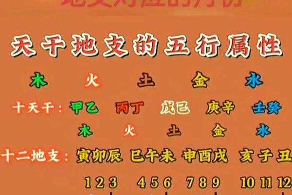 如何用八字算命