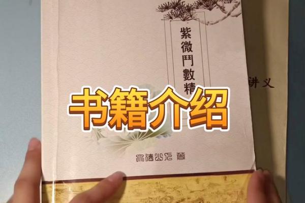 紫薇斗数书籍在线观看