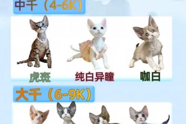 姓名测试配对非常运势网 姓名测试免费配对？