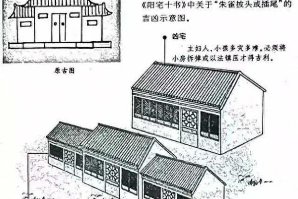 麻雀与房子风水有关吗