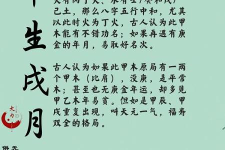 如何用八字算命
