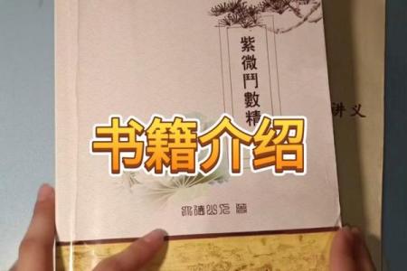 紫薇斗数书籍在线观看
