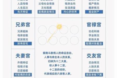 紫微斗数之疾厄宫与诸星，天同星在疾病宫是什么意思？