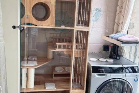 家里如何建个猫房子呢风水