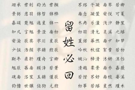 属龙辰时出生的男孩起什么名，用什么字姓名