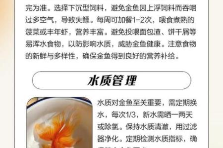 养金鱼有哪些风水讲究-