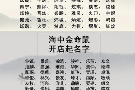 五行生辰八字取名字免费,五行取名字免费起名
