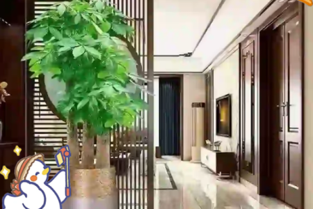 玄关摆放植物有什么风水讲究