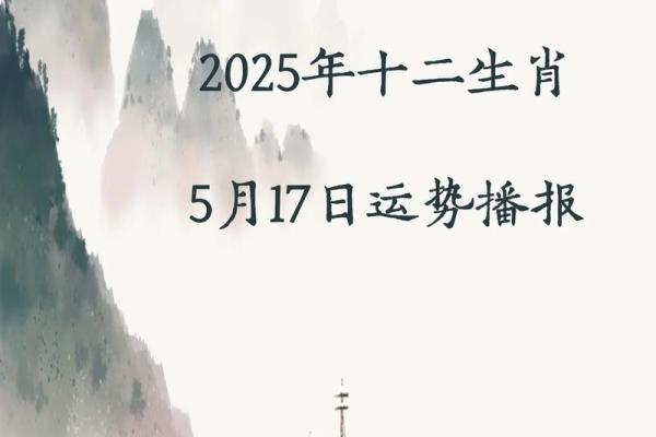 5月17日是什么星座