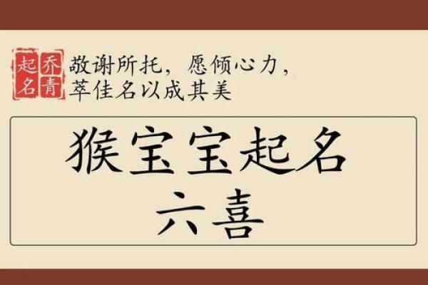 早上八点出生的属猴男孩如何起名，应用什么字姓名