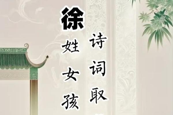 徐姓女孩名字大全-徐姓女孩起名字大全-徐姓名字大全姓名