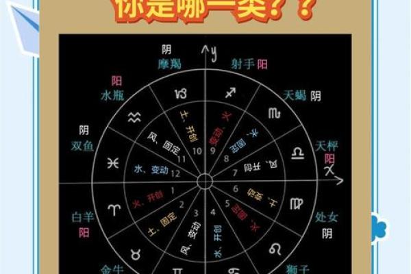 323属于哪个星座