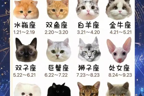 十二星座最适合养什么恐怖动物