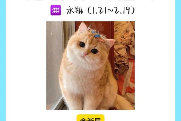 十二星座最适合养什么恐怖动物