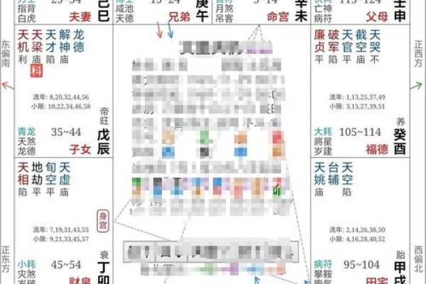 紫薇星斗数排盘准吗
