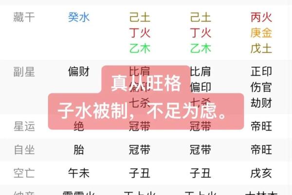 八字己巳日