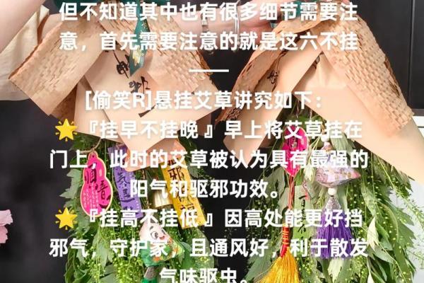 风水解答为什么不应该将艾草作为礼物送给别人