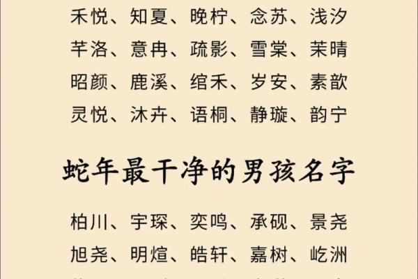 属蛇辰时出生的男孩如何取名字，适合用什么字姓名