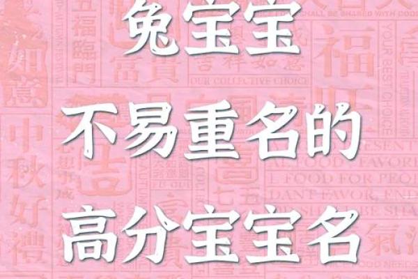 1月份出生的属兔男孩该怎样取名字姓名