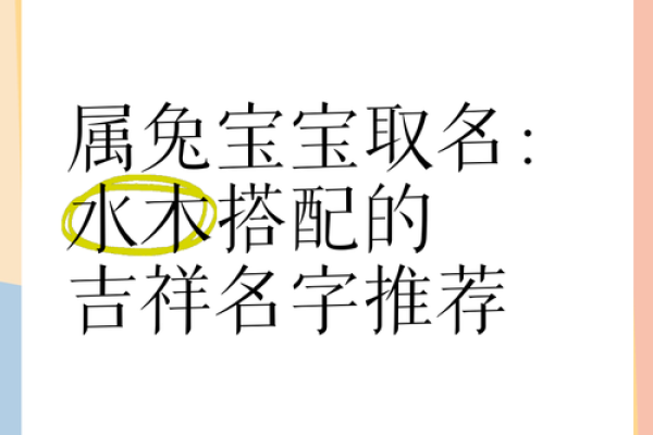 1月份出生的属兔男孩该怎样取名字姓名