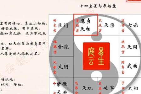紫薇斗数主星变化