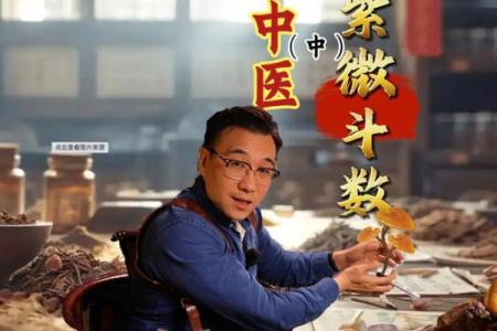 紫薇斗数律师