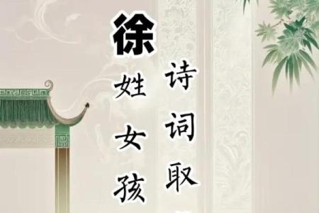 徐姓女孩名字大全-徐姓女孩起名字大全-徐姓名字大全姓名