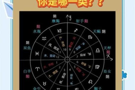 323属于哪个星座