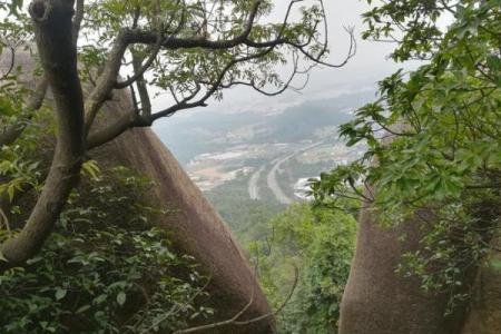 莆田凤凰山小鸟算命