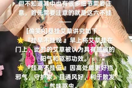 风水解答为什么不应该将艾草作为礼物送给别人